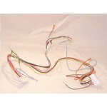 Carrier Corporation 305764-701 WIRING HARNESS