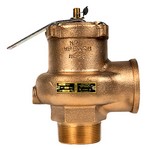 Conbraco / Apollo Valves 14-205-08 2" x 2", 15lb, High capacity low pressure steam boiler safety valves