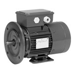 NIDEC MOTOR CORPORATION (Emerson / US Motors) BR12S2A3 1/2 HP, , BR12S2A3, 208-230/460 V,  HZ, 56