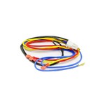 Weil-McLain 591-391-786 WIRING HARNESS