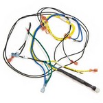 Weil-McLain 591-391-862 WIRING HARNESS