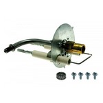 Rheem-Ruud 59-25009-02 Electrode Kit