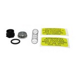 Rheem-Ruud 60-23430-01 Nat. Gas Valve Spring Kit