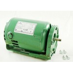 Raypak 951089F PUMP MOTOR