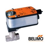 Belimo Aircontrols (USA), Inc. B215B+LF24S Characterized Control Valve