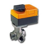 Belimo Aircontrols (USA), Inc. B311+TR243 Characterized Control Valve