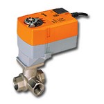 Belimo Aircontrols (USA), Inc. B315+TFX24300 Characterized Control Valve