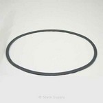Armstrong International C1999-1 BODY GASKET FOR PT-104 TRAP