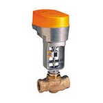 Belimo Aircontrols (USA), Inc. G250+NV243 Globe Valve