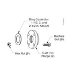 Johnson Controls, Inc. KIT14A612 Flange Kit For 1.5in V46 Water Regulatin