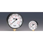 Weiss Instruments, Inc. TL20-060 WEISS 2 PRESSURE GAUGE       "