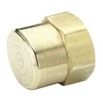 Parker Hannifin Corp. - Brass Division X213P2 PIPE CAP