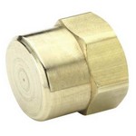 Parker Hannifin Corp. - Brass Division X213P4 PIPE CAP